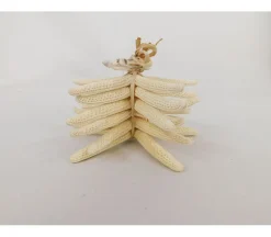 Starfish Bundle Set – 6 Piece
