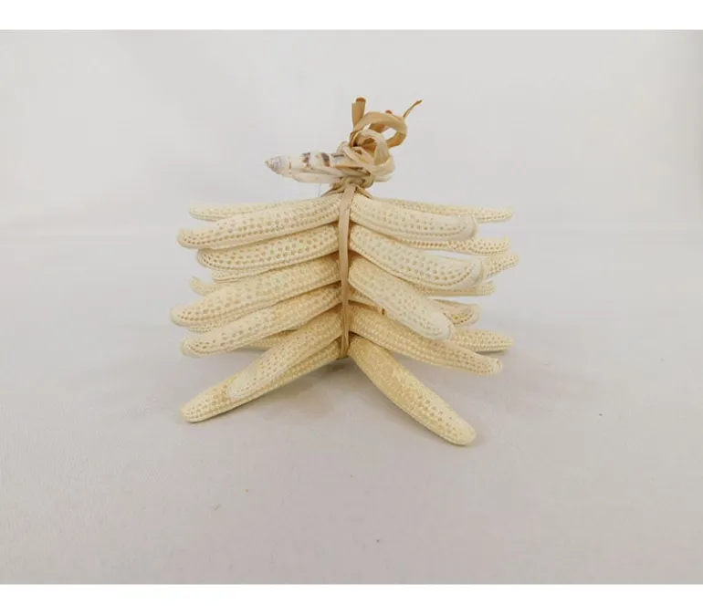 Starfish Bundle Set – 6 Piece