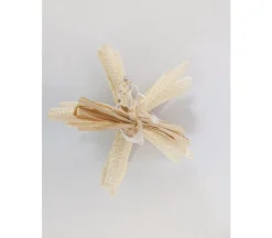 Starfish Bundle Set – 6 Piece