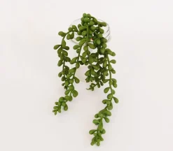 String of Pearl Spray – 13-inch