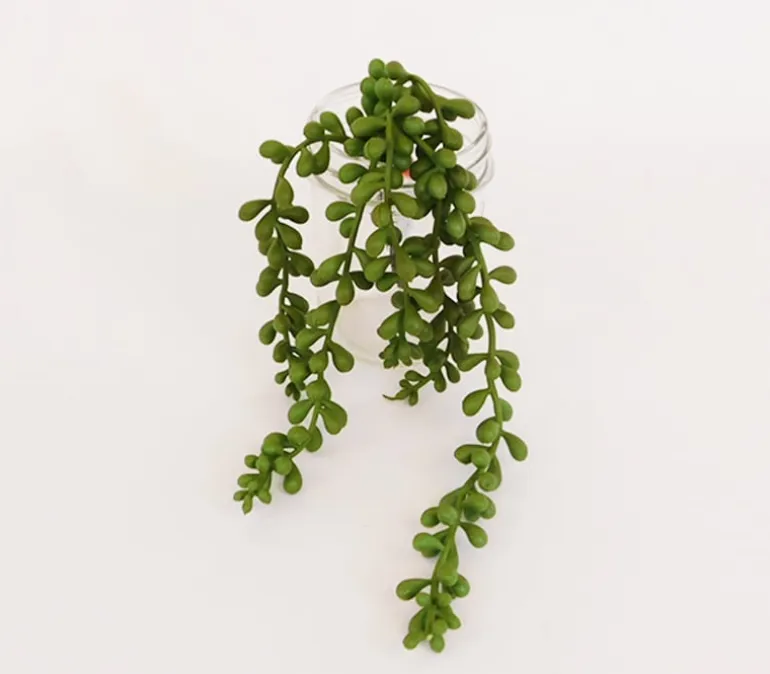 String of Pearl Spray – 13-inch
