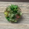4″ Succulent Ball, Green/Orange