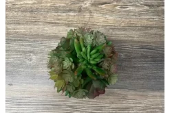 4″ Succulent Ball, Green/Orange