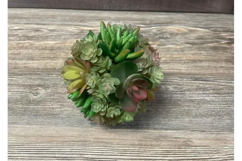 10″ Succulent Bundle, Mauve