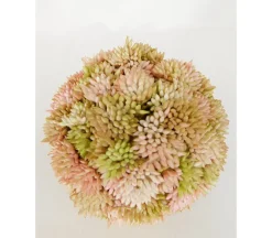 Succulent Orb – 4-inch