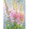 Summer Rainbow – 500 Piece Puzzle