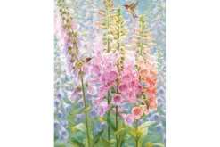 Summer Rainbow – 500 Piece Puzzle