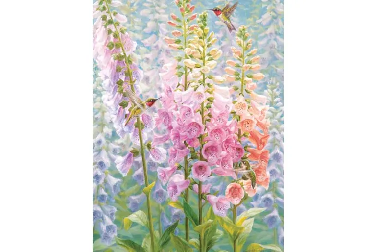 Summer Rainbow – 500 Piece Puzzle