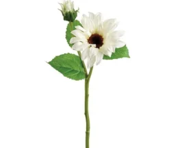 14″ Sunflower Spray, White