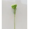 Sunflower Stem – Cream