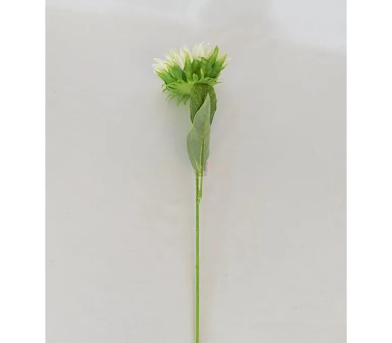 Sunflower Stem – Cream