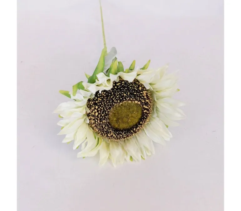 Sunflower Stem – Cream