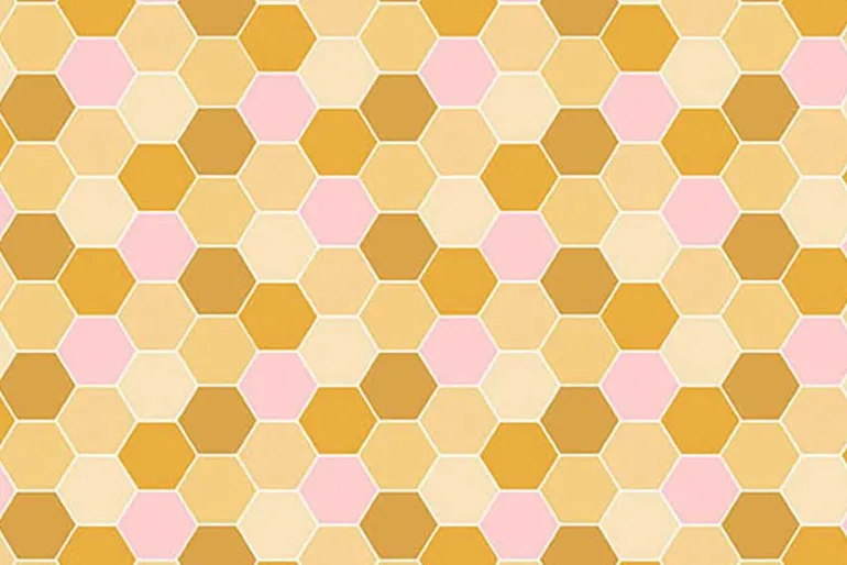 Sunset Cottage 2 1/2-inch Jelly Roll Strips, 40ct