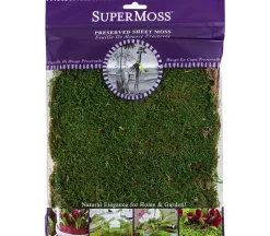 SuperMoss Reindeer Moss – Chartreuse – 2-ounce