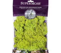 SuperMoss Reindeer Moss – Chartreuse – 2-ounce