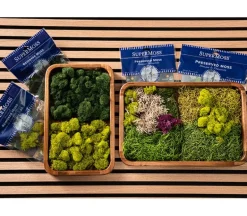 SuperMoss Reindeer Moss – Forest Green – 2-ounce