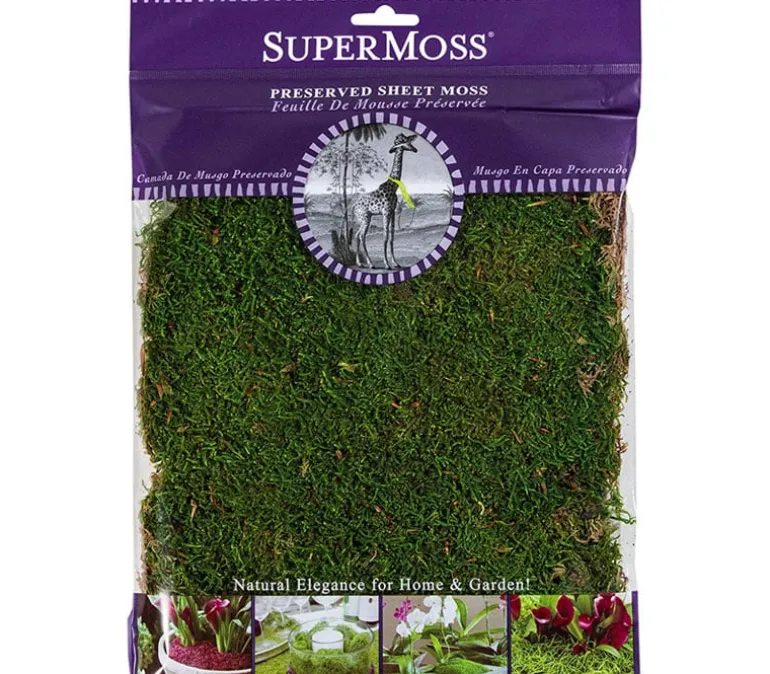SuperMoss Reindeer Moss – Fresh Green – 8-ounce