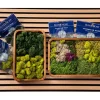 SuperMoss Sheet Moss – 2-ounce