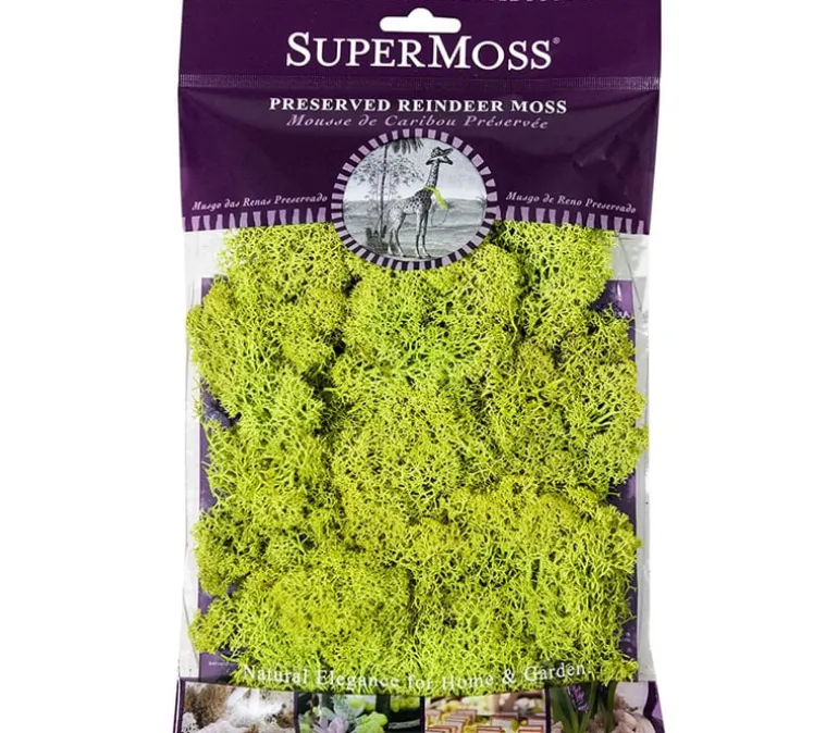 SuperMoss Spanish Moss – Grass Green – 4-ounce