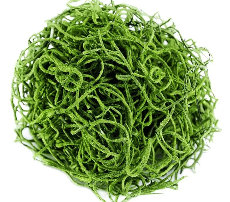 SuperMoss Spanish Moss – Grass Green – 4-ounce