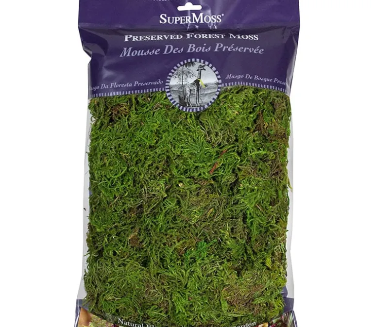 SuperMoss Spanish Moss – Grass Green – 4-ounce