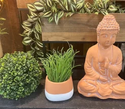 Terra Cotta and White Cement Pot