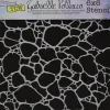 The Crafters Workshop Stencil – Organic Matter
