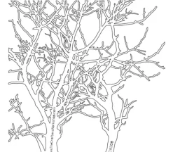 The Crafters Workshop Stencil – Branches