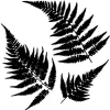 The Crafters Workshop Stencil – Ferns