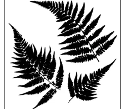 The Crafters Workshop Stencil – Ferns