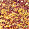 The Glitter Guy Glitter – Dream Jar
