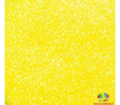 The Glitter Guy Glitter – Magic School Bus
