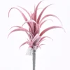 7″ Tillandsia Pick