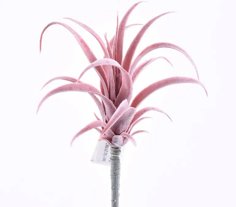 7″ Tillandsia Pick