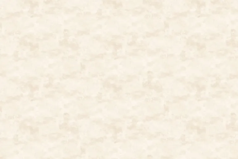 Toscana 118-inch Quilt Backing – Going Grey