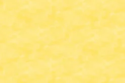 Toscana Quilt Cotton Blender Shortbread