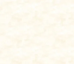 Toscana Quilt Cotton Blender Light Ivory