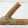 Tree Hook Nob