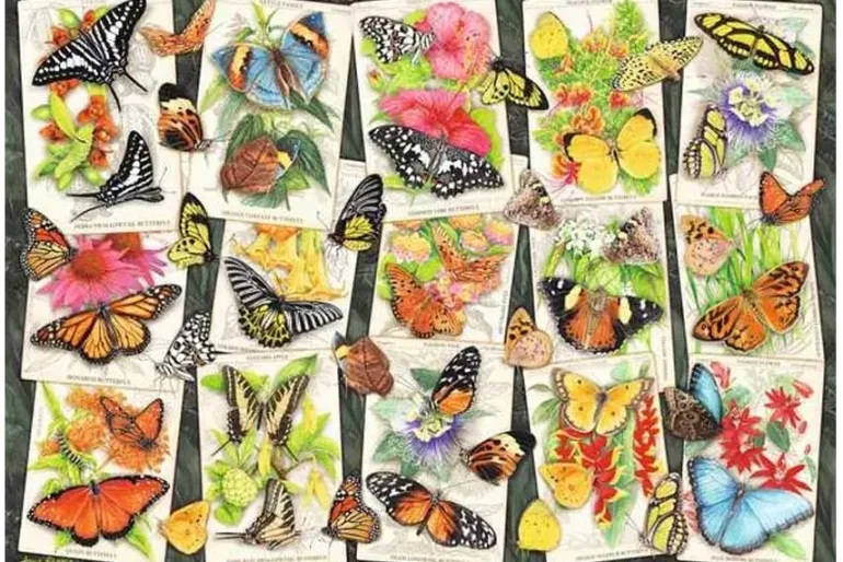Tropical Butterflies – 1000 Piece Puzzle