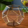 Truncated Glass Terrarium – 7″ x 8″ – Geometric Plant Display