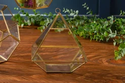 Truncated Glass Terrarium – 7″ x 8″ – Geometric Plant Display