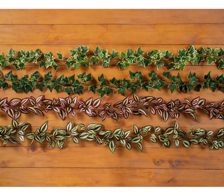 Variegated Ivy Garland – 66-inch