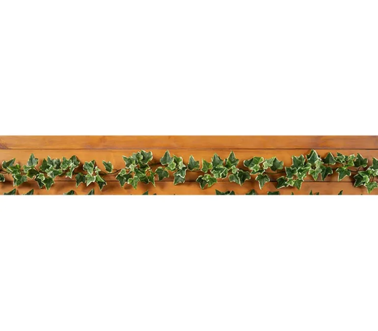 Variegated Ivy Garland – 66-inch