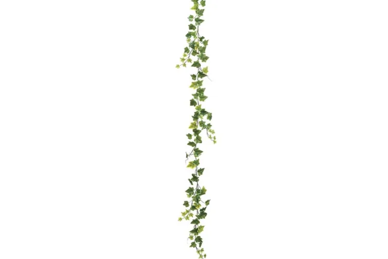 Variegated Ivy Garland with 98 Leaves, 6′