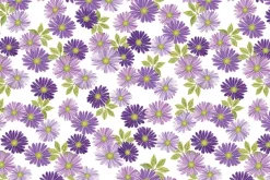 Veronica’s Garden Shadow Dots in Tonal Purple