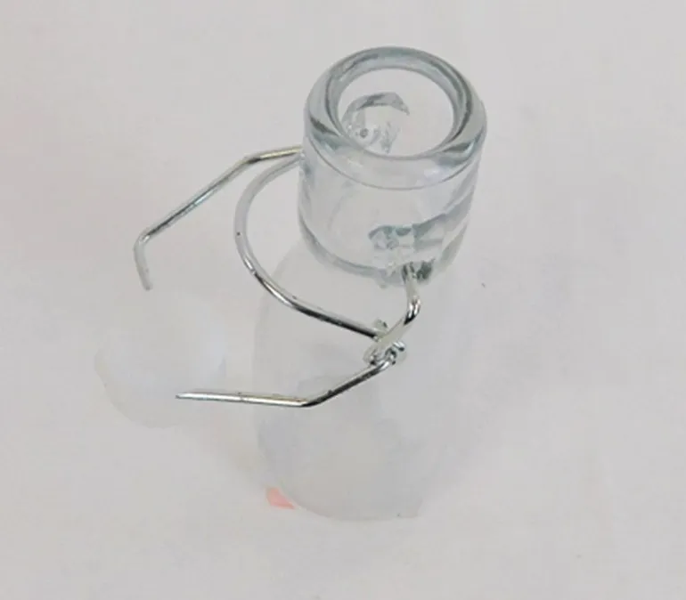 Water Bottle with Clip – 5.75-inch