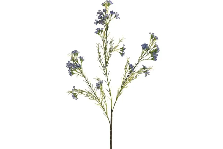27″ Waxflower Spray, Blue