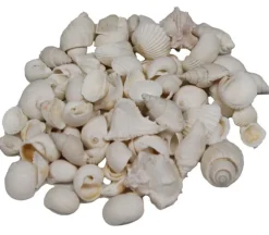 White Mix Seashell Bag
