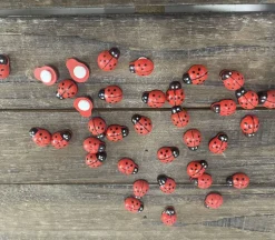 Wooden Ladybugs with Sticker Backs – 36 Piece